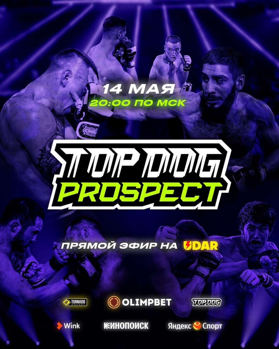 Top Dog: Prospect 4 — афиша