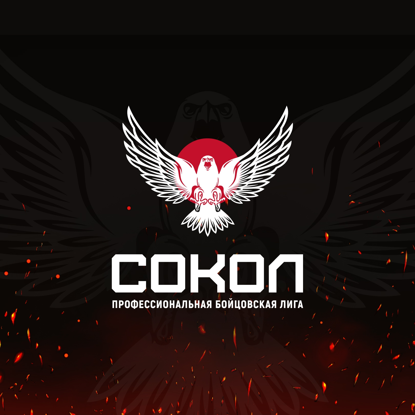 Сокол