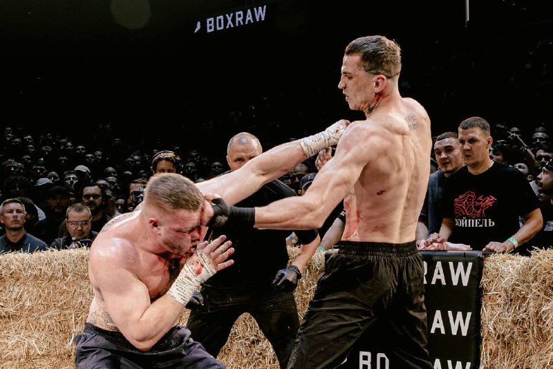 Top Dog 43: Гаджиев нокаутировал Погодина в реванше, Калажоков отстоял перстень в пятираундовой рубке